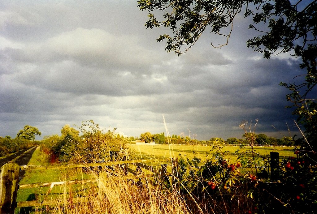 After the rains in Northumberland by HannibalCat