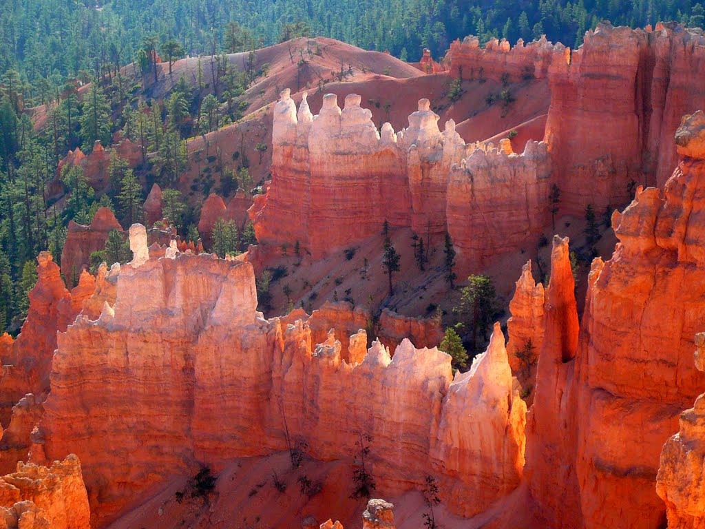 BRYCE CANYON , UTAH USA 09 2010 by ¤¤¤ DanyFischer ¤¤¤