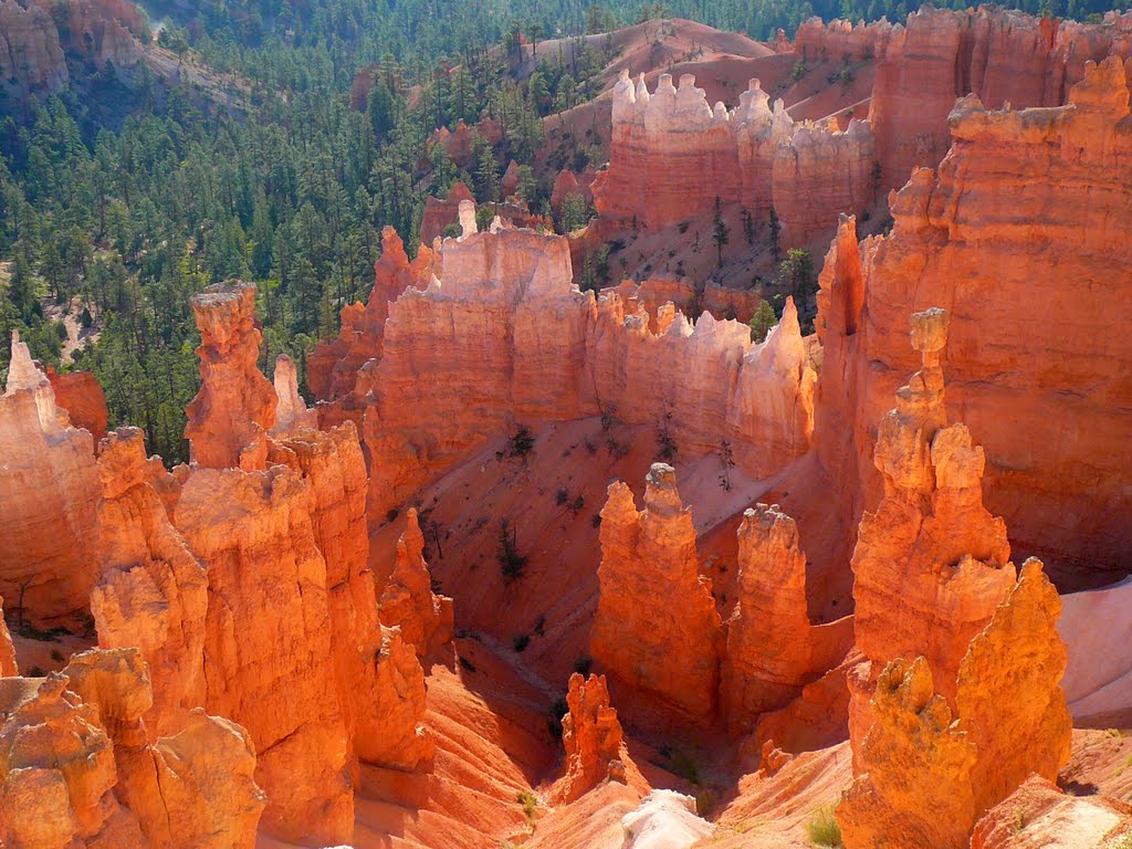 BRYCE CANYON , UTAH USA 09 2010 by ¤¤¤ DanyFischer ¤¤¤