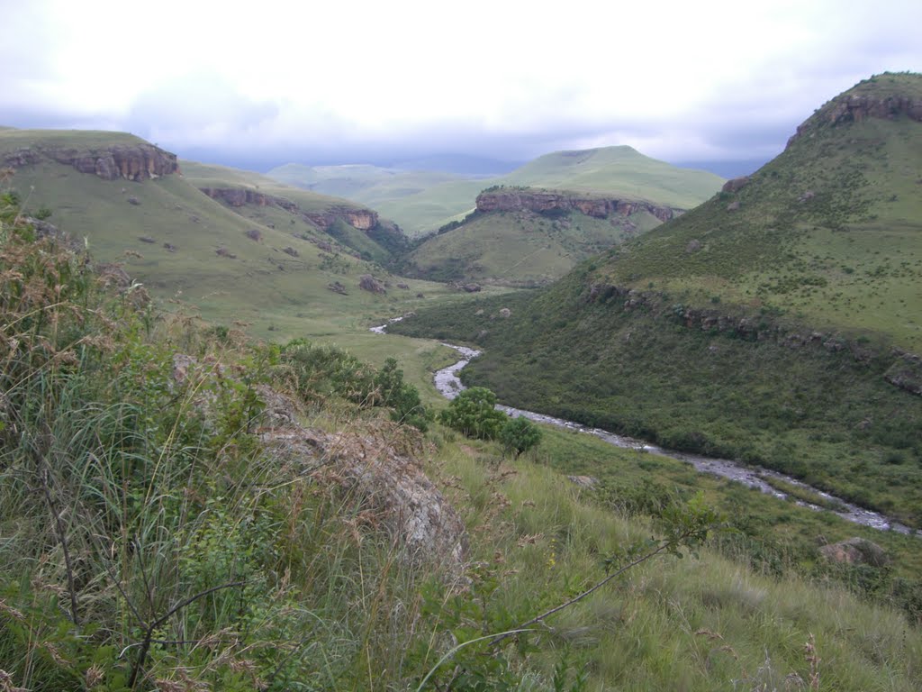 Bushman`s River by Schamberl