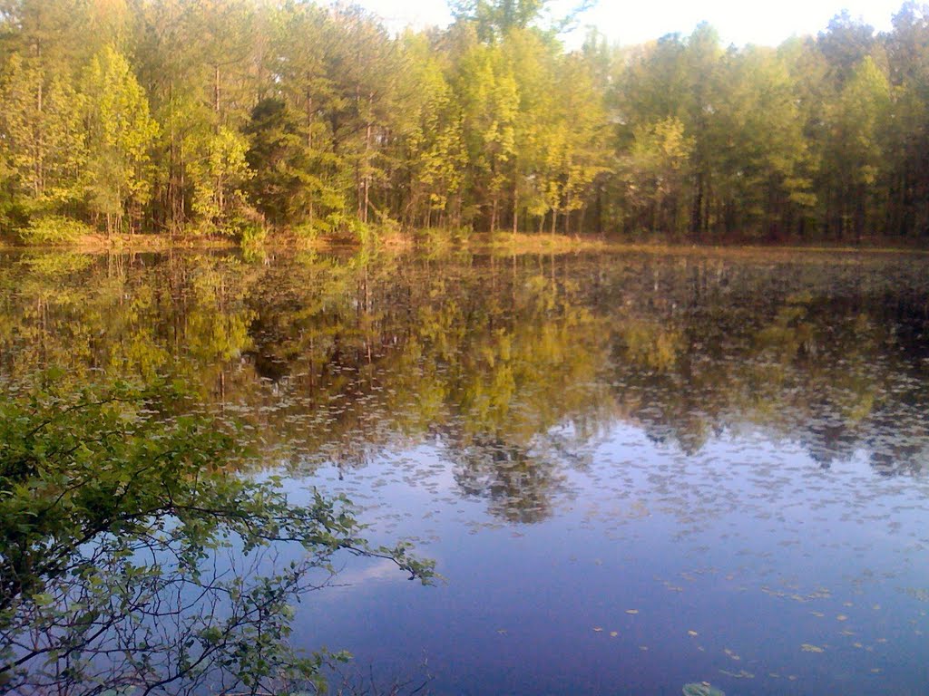 Terrill Pond by redhawk44p