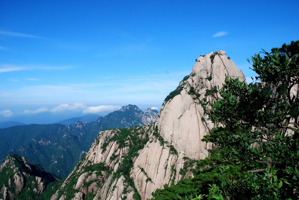 黄山莲花峰 Lotus Peak of Mount Huangshan (Yellow Mountain) by Michael Li