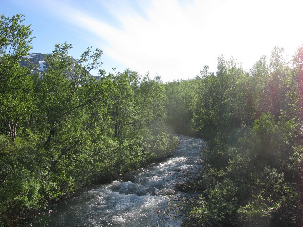 Rallarvägen with Kärkevaggejohka by Gerrit Holl