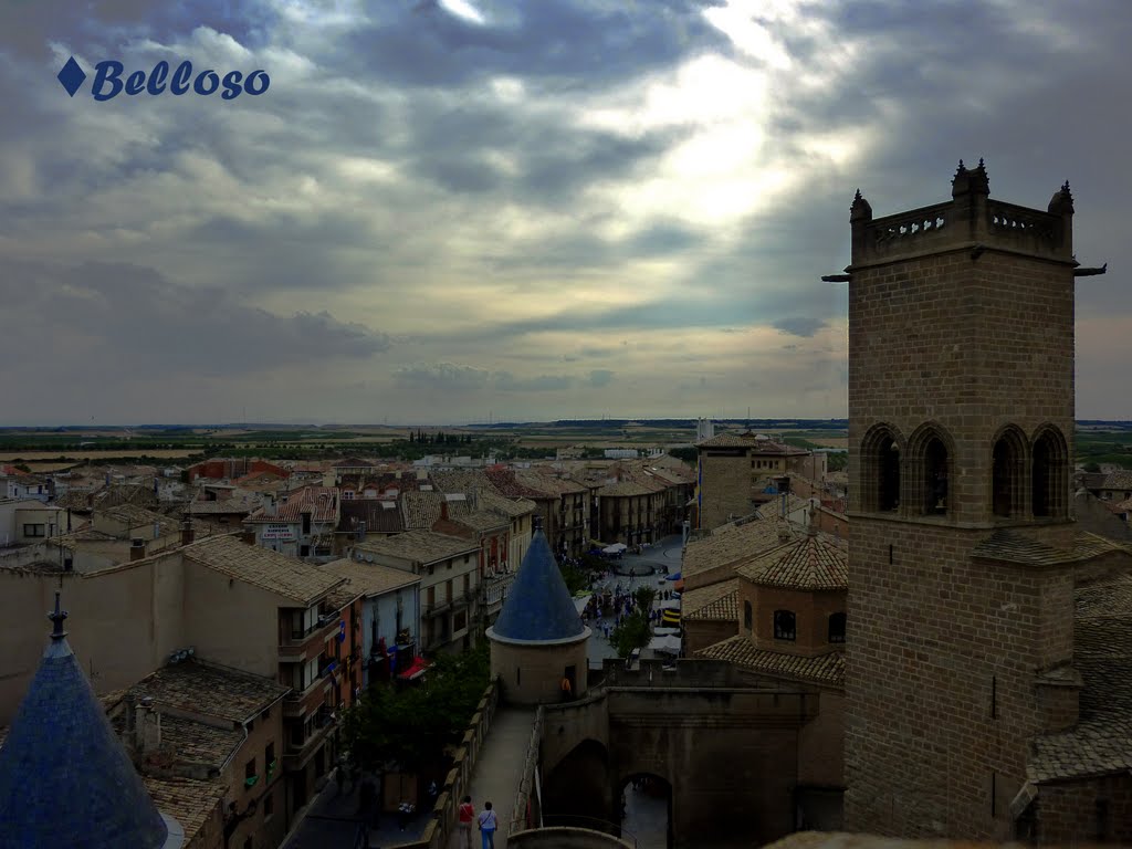 View from the Castle of Olite (NAVARRA Spain)......Olite (Navarra España) Vistas desde el Castillo by Elena Belloso