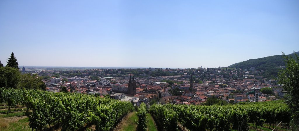 Neustadt an der Weinstaße by neuwein