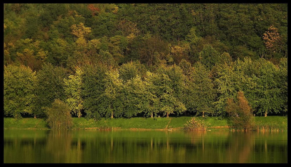 Szekszárd, 7100 Hungary by Zoltan Molnar