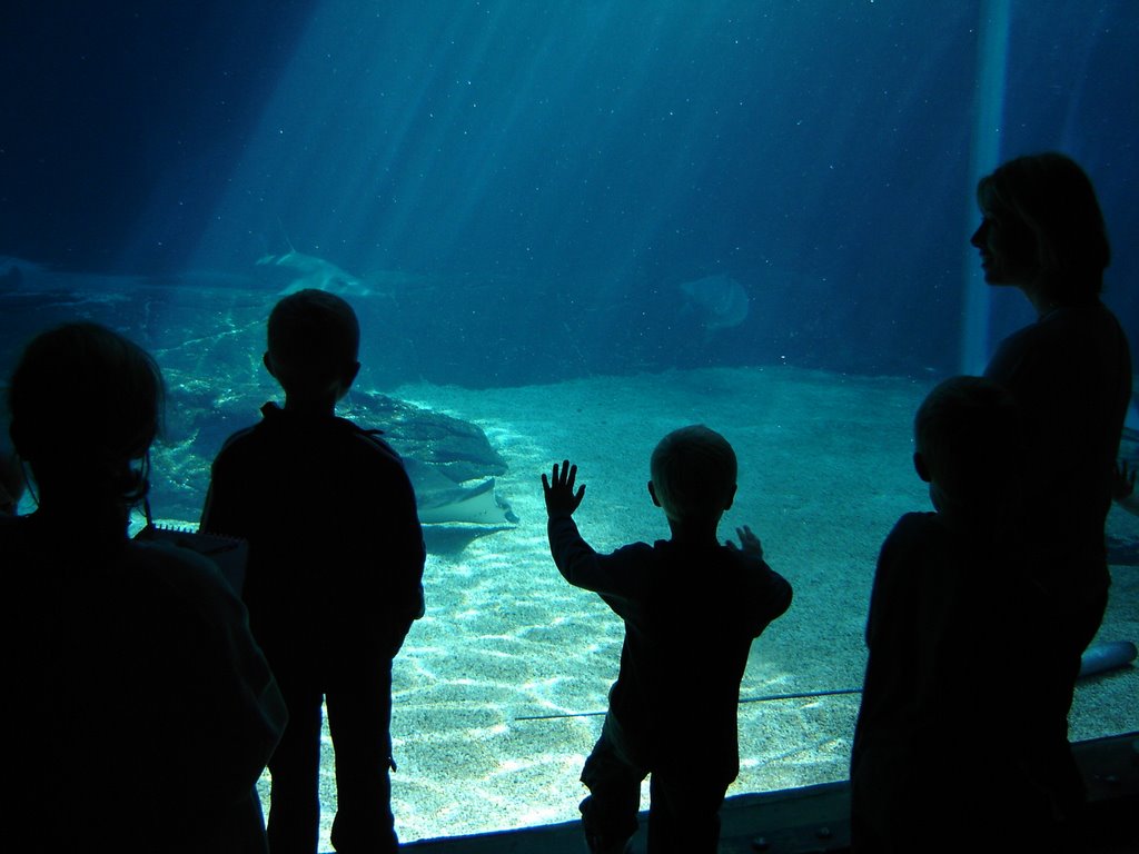 Ushaka Marine World, Durban by Filippo Castagna