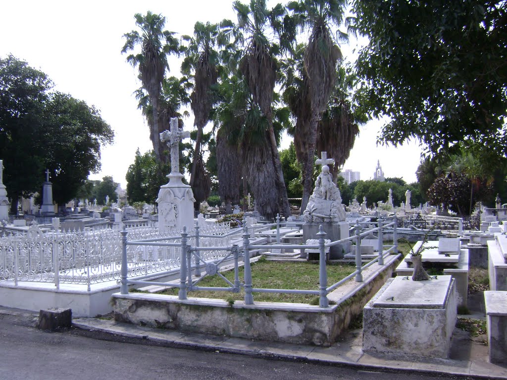 Cemitério de Colon - Havana - Cuba by Nuno Moura Neves