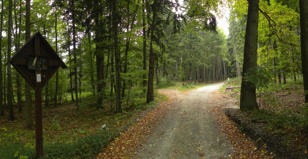 Beim Tobiaskreuz by Michael Pigler