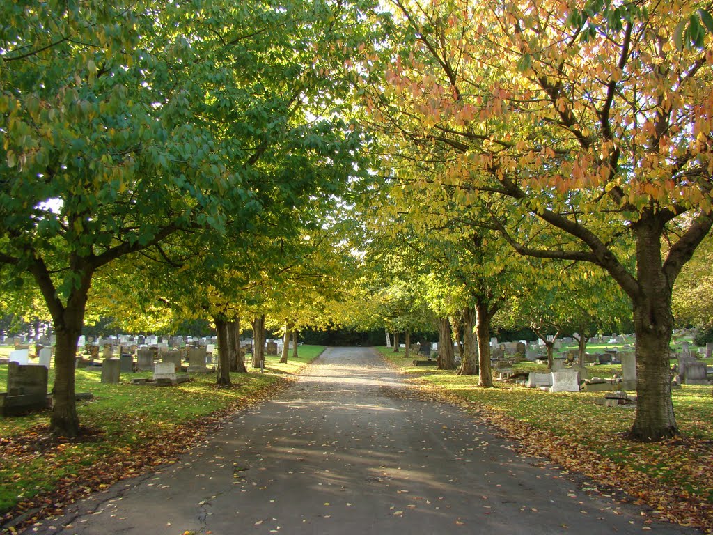 Path and early autumnal trees, Shiregreen Cemetery, Sheffield S5 by sixxsix