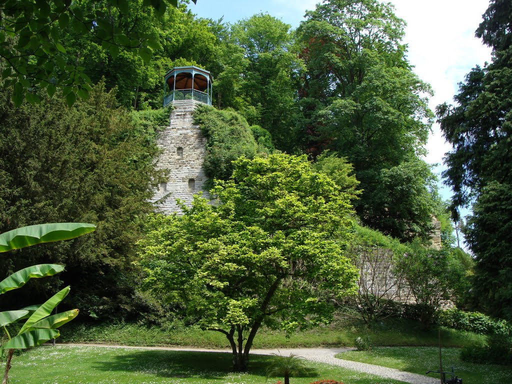 Stadtgarten, Überlingen, Germany by Wolfgang Hofmeier