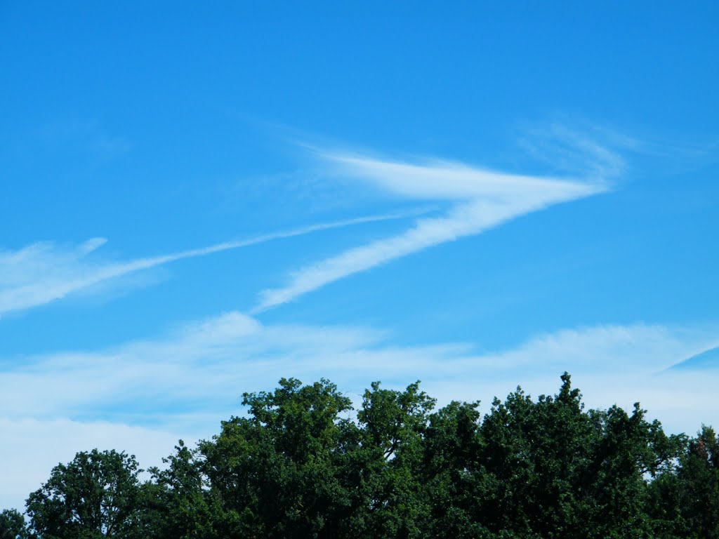 Freccia in cielo (Parco di Monza) by enniocamp