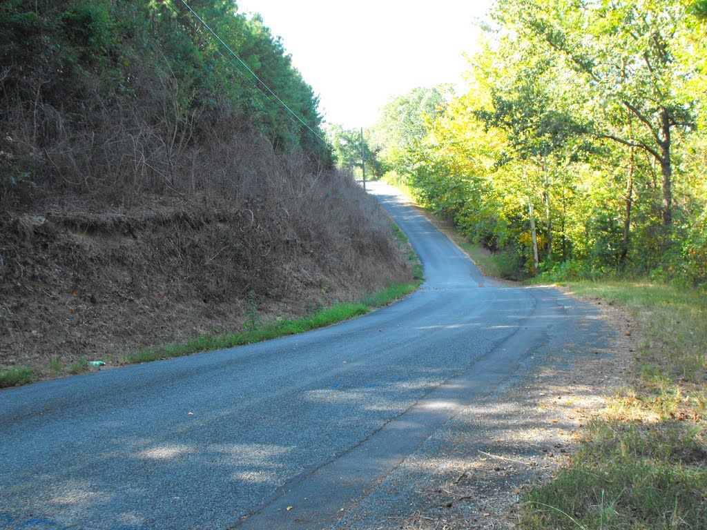 Horton Mill Road near the Bridge by Breglad