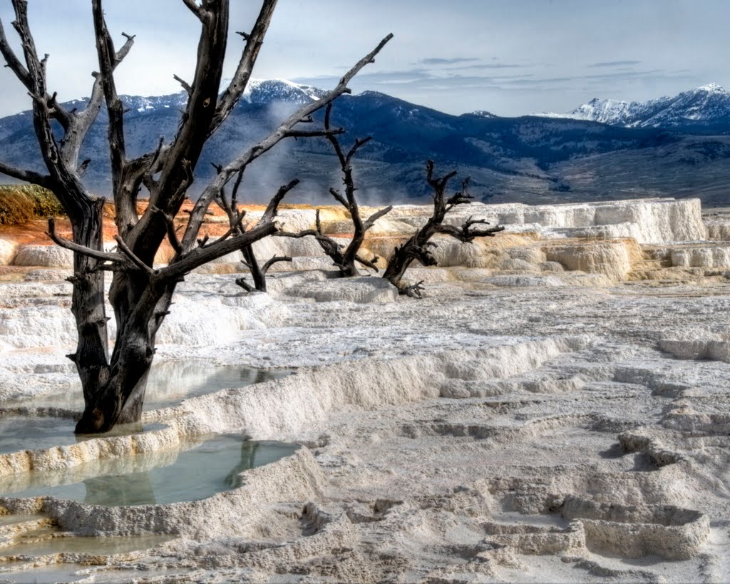 Mammoth Hot Springs crystalline beauty. by William Sturrock