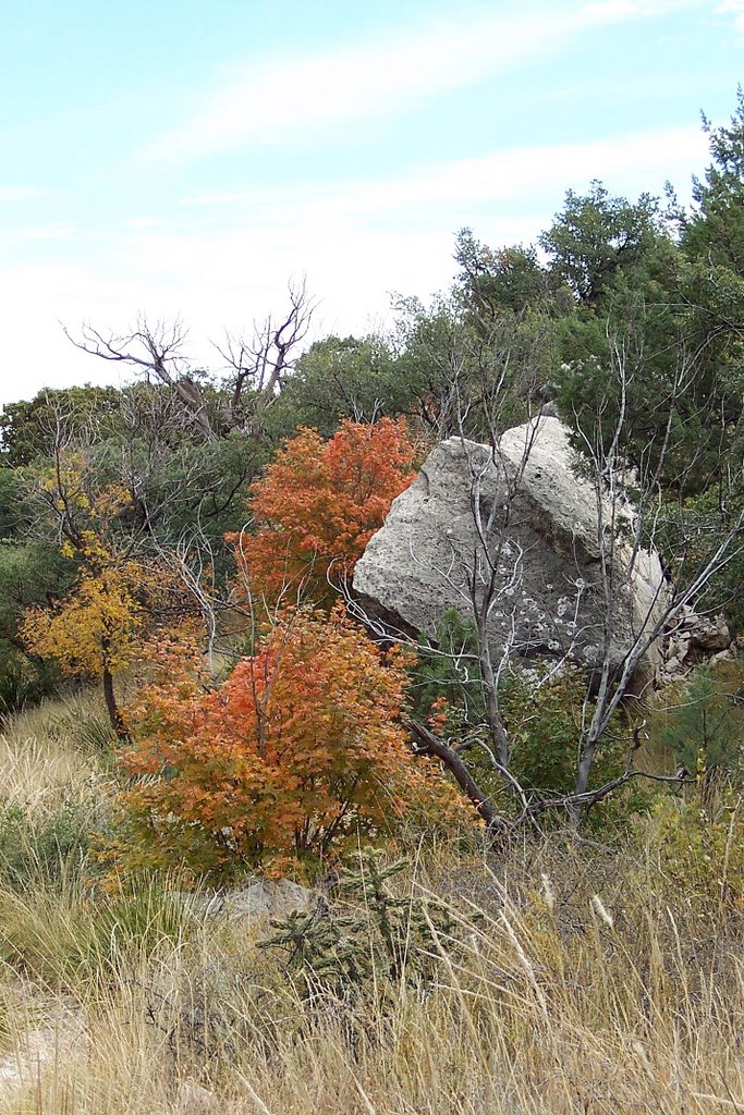 Guadalupe Mountains Nat'l. Park by JRC-El Paso