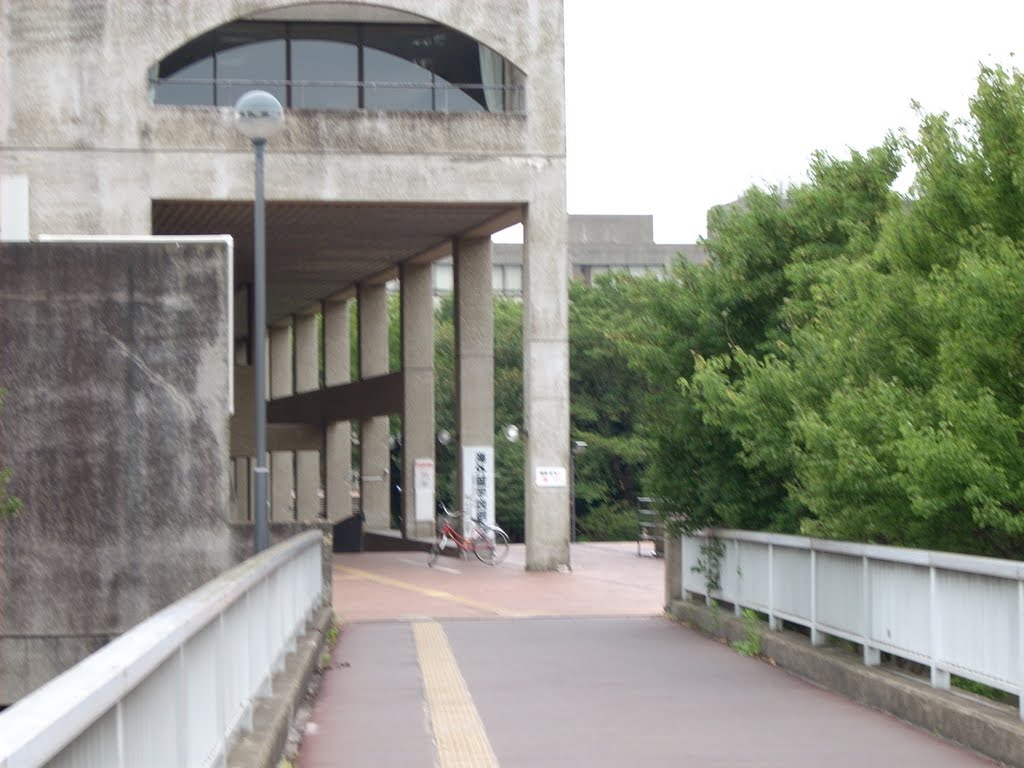 Towards International Student Center by Bambino666