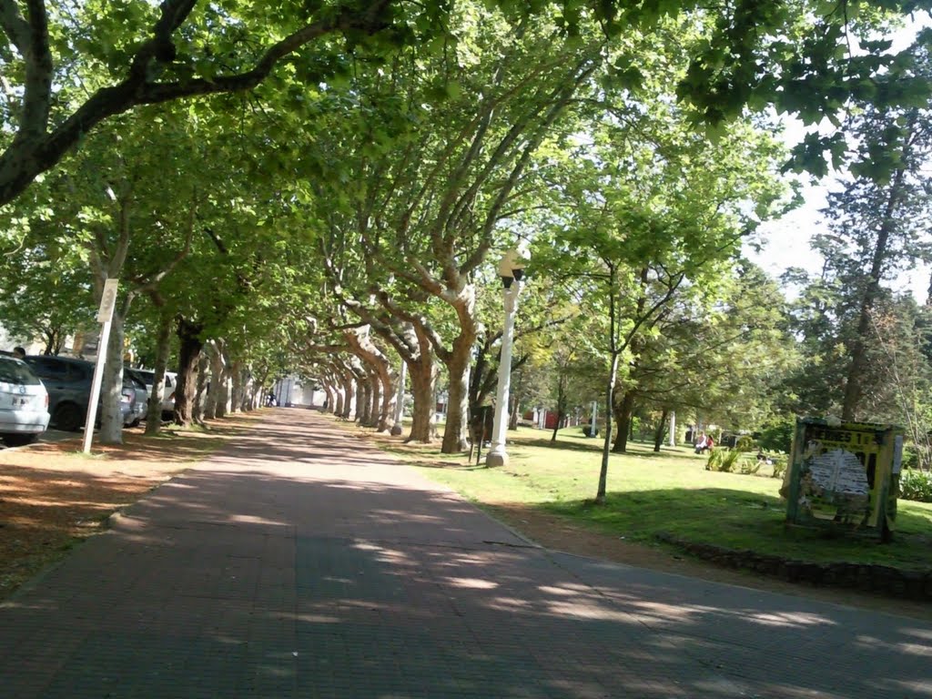 Luján, Buenos Aires Province, Argentina by Andrés Galardo