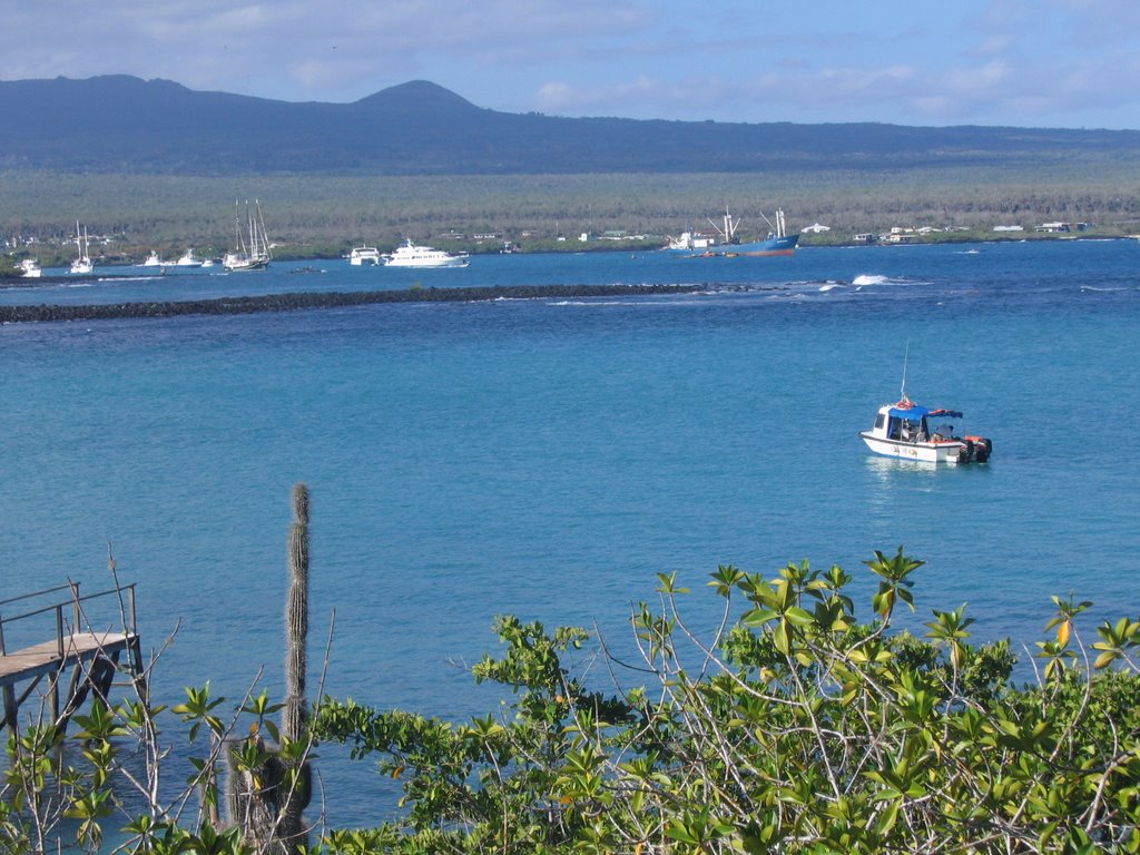 BAHIA ACADEMY EN PUERTO AYORA ISLA SANTA CRUZ GALAPAGOS by Clara Lorza