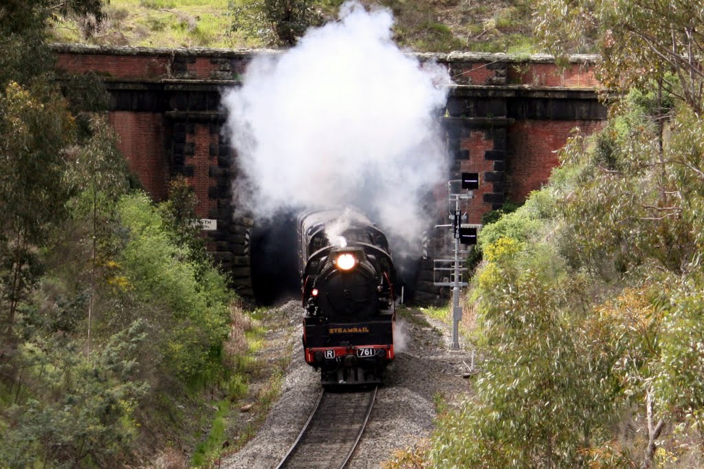 Elphinstone Tunnel by Rob Lee