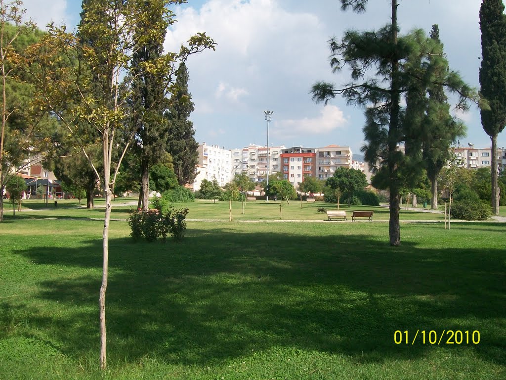 Park by görkem kösehasanoğulları