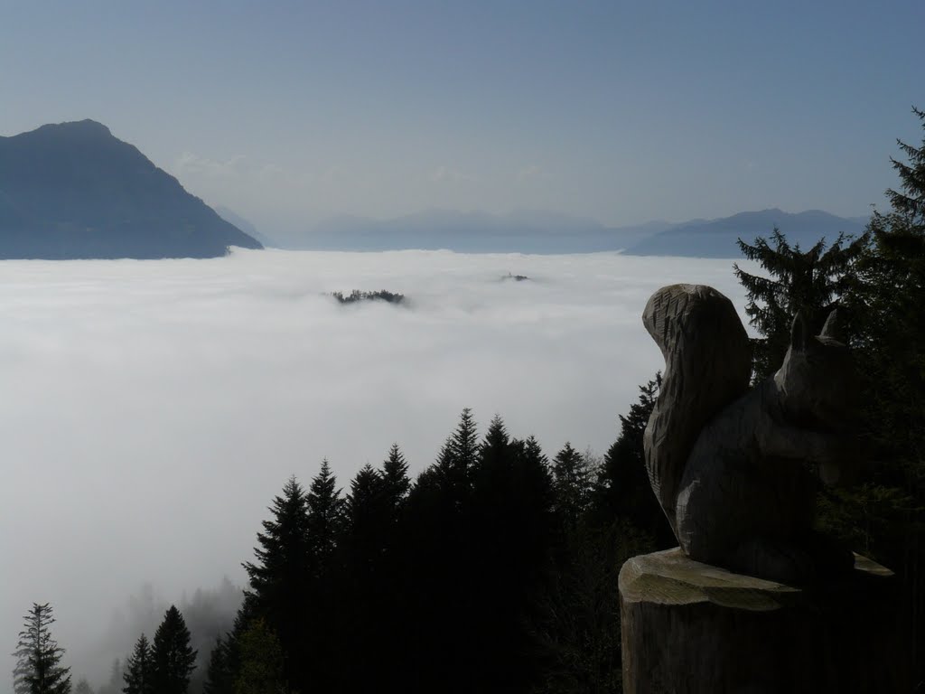 Bürgenstock, Ausblick Richtung Süden by Qwesy