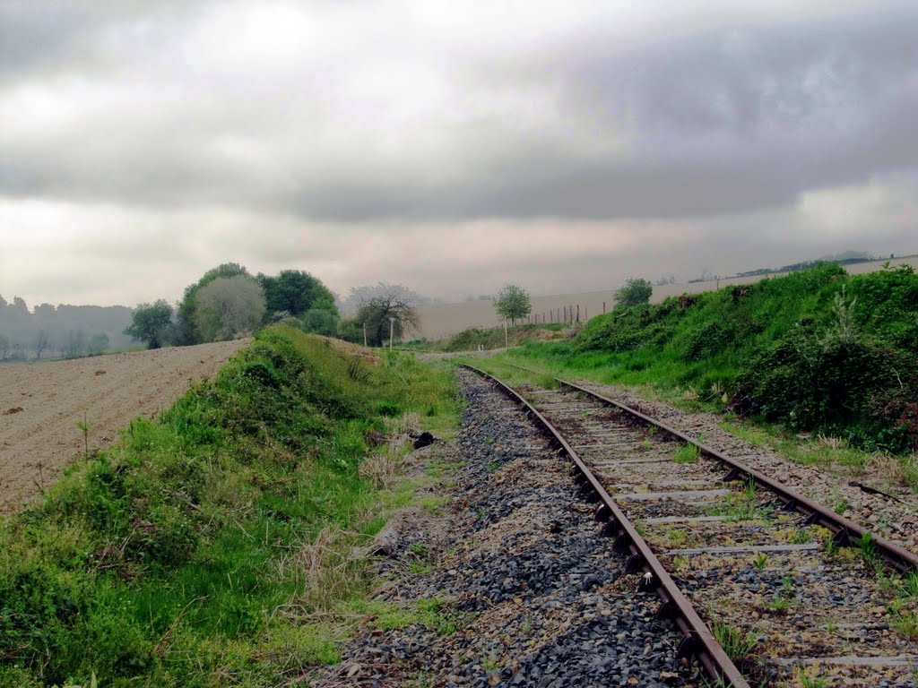 Bahnübergang 8 aus einigen Metern Entfernung by Railwalker