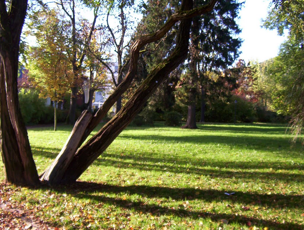 Goldener Herbst in Suhl - 9.10.2010 by NinaA.Thüringen