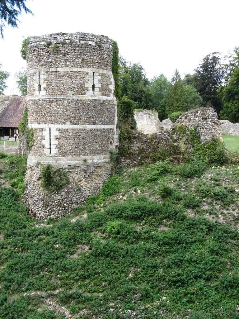 Château d'Harcourt - Tour de la basse-cour by Laurent Guyard