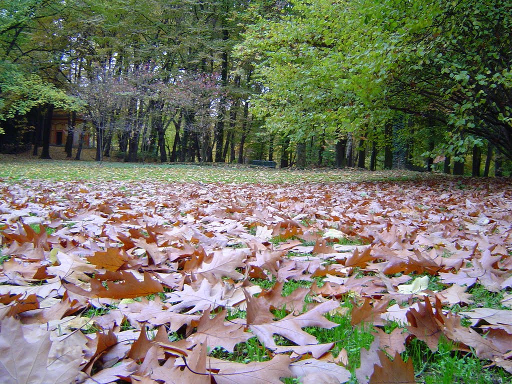 Autunno in villa reale by mario otello