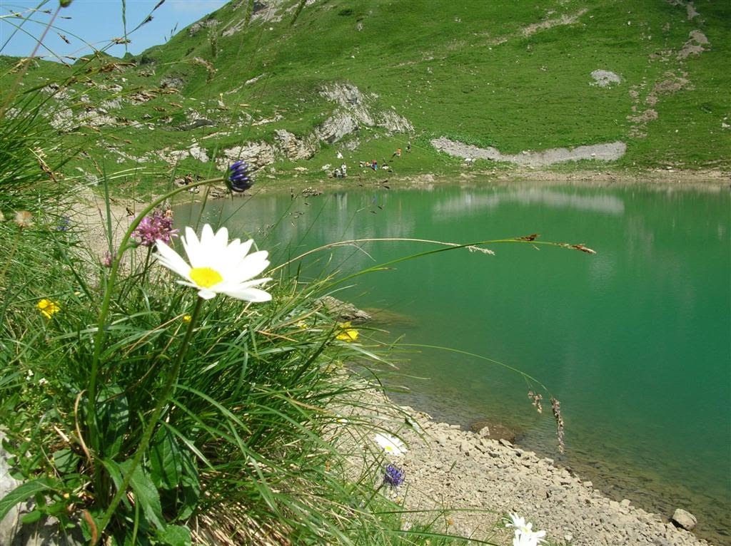 Lidernen - Spilauersee - Lake Spilau by Angelabinu