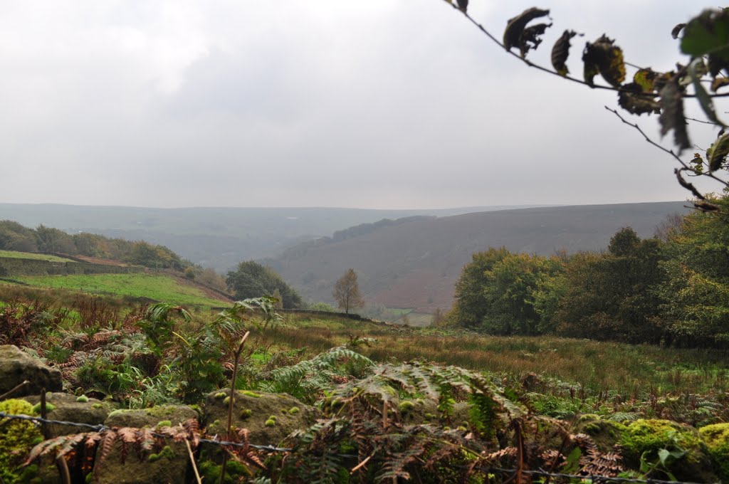 Cragg Vale Walk by Geoff Crowther