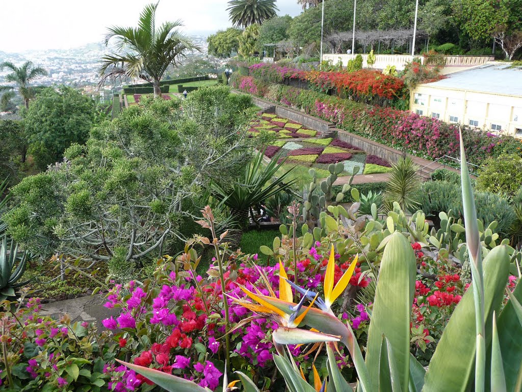 Funchal - Madère by otof2010