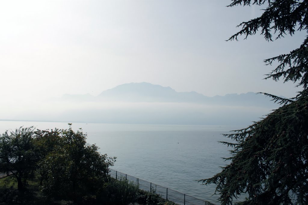 Foggy day near montreux. by GussDeBlod