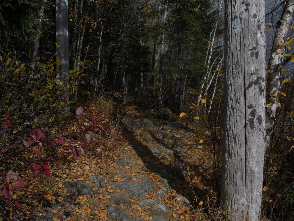 Sentier pédestre by Martin Filion