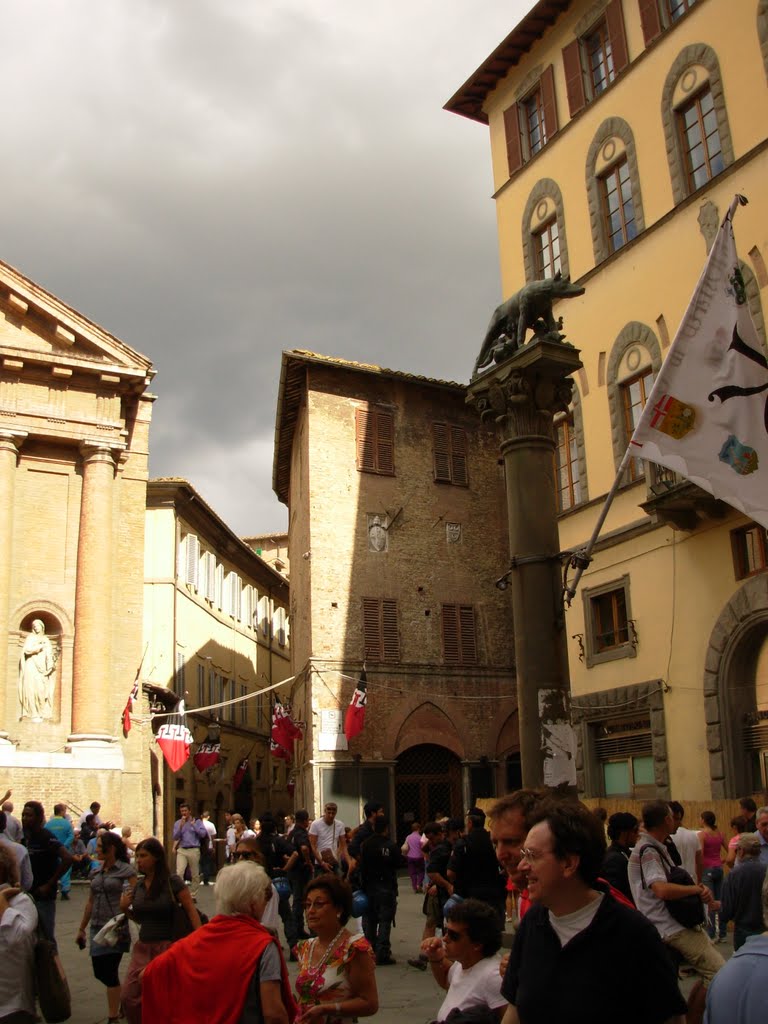 53100 Siena, Province of Siena, Italy by stefano scarsella