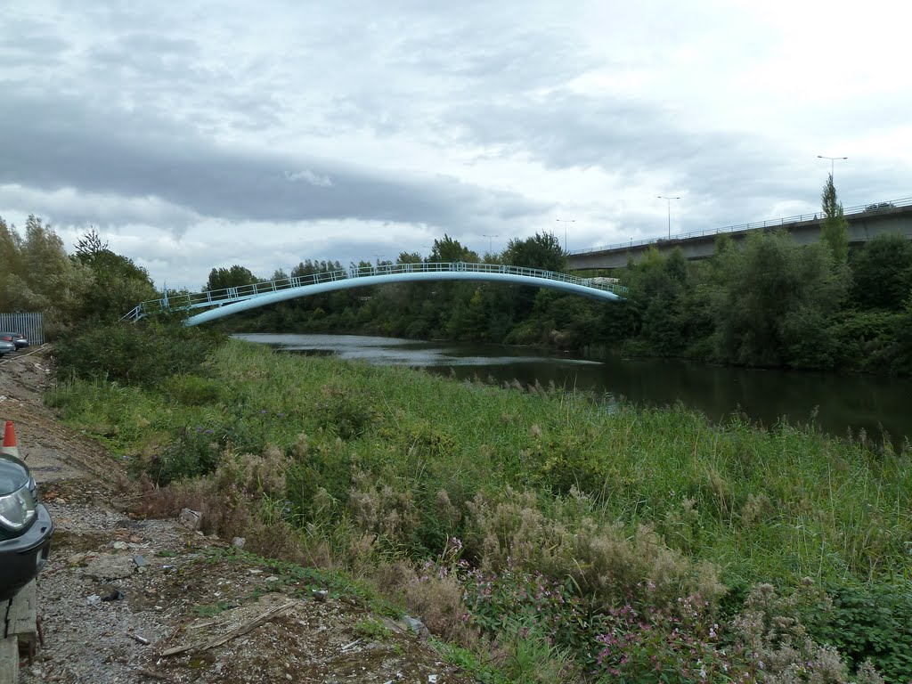 Pip bridge by cowbridgeguide.co.uk