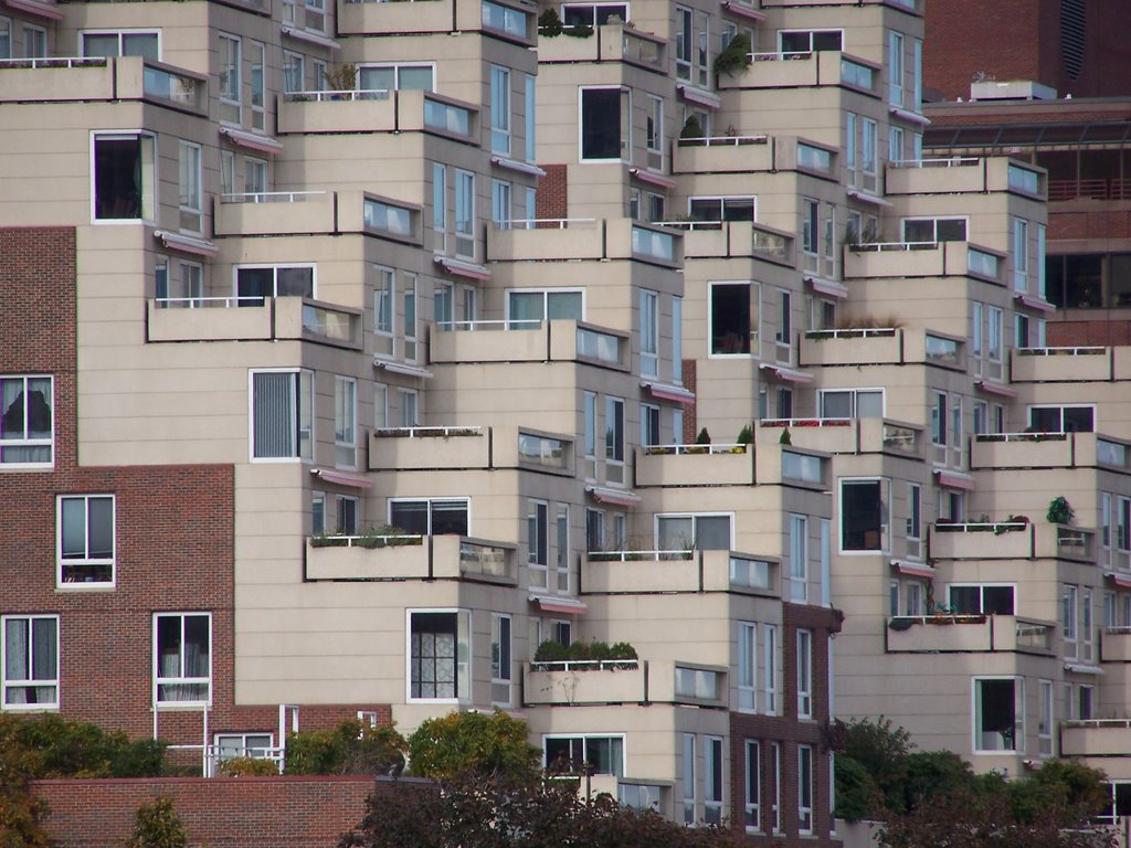 Residential building, Cambridge USA by Ibn Batota