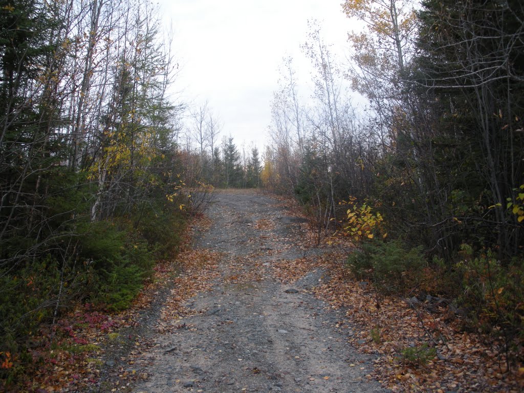 Sentier récréatif automne by Martin Filion