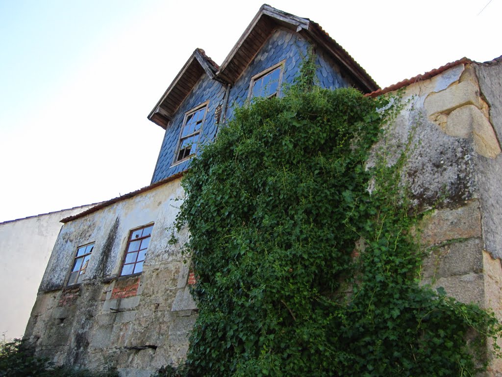 Viseu, Portugal by mondrian