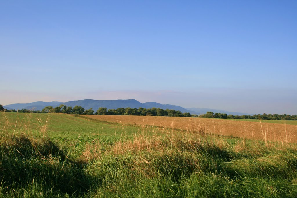 Czaniec...Panorama Beskidu by Beata Tobijasiewicz