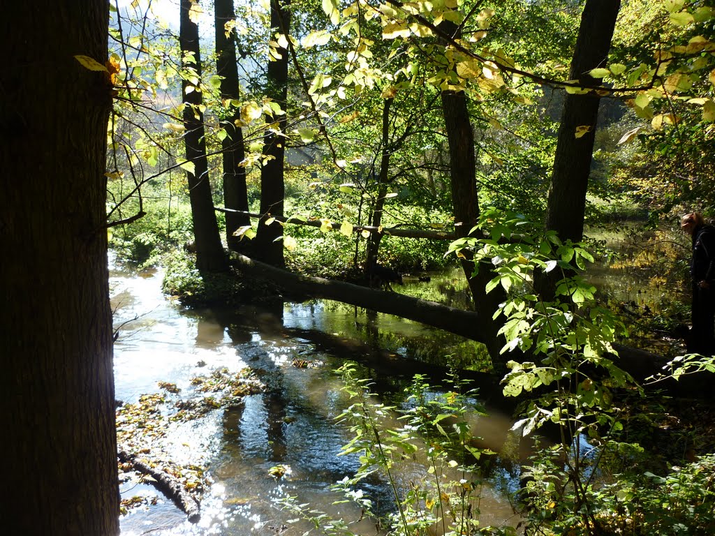 Most u soutoku Chyňavského potoku a Loděnice by bendlicek