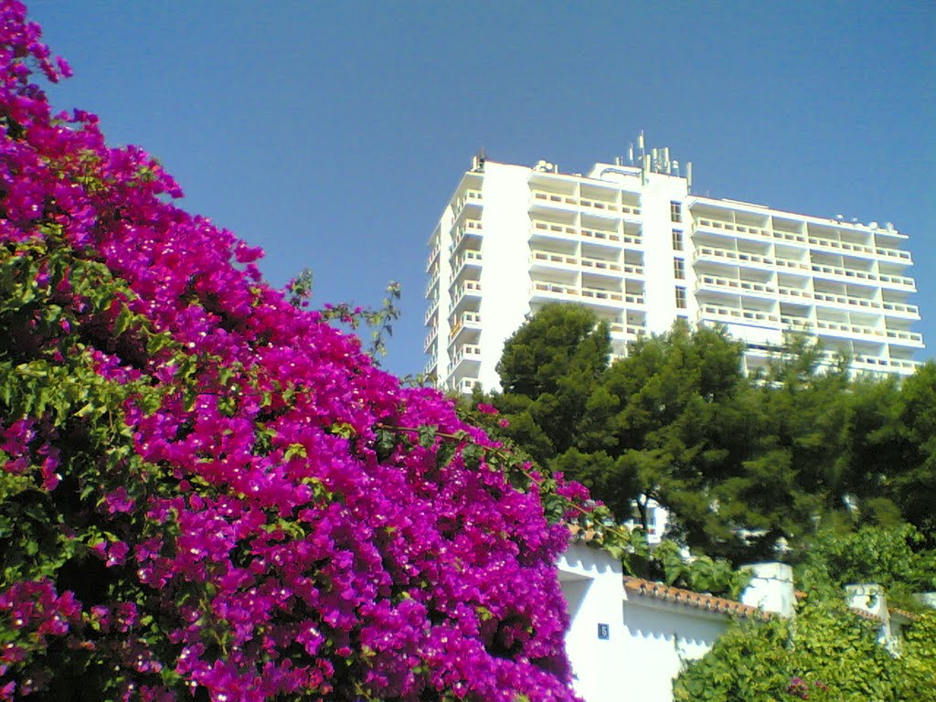 La Torre de Andalucía by Johnny Lavan