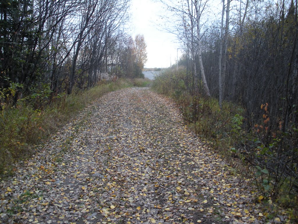 Sentier vtt automne by foretnordique