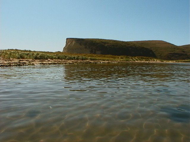 Point Reyes, inside Drakes Estero by Argyris Kotoulas