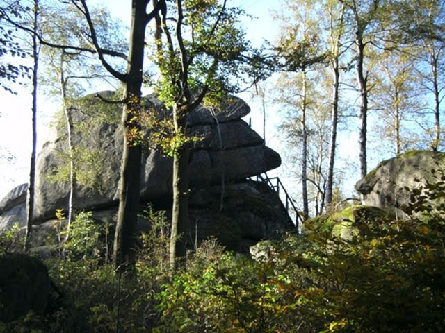 Felsennase am Prinzenfelsen by wolfgang.kohl6463