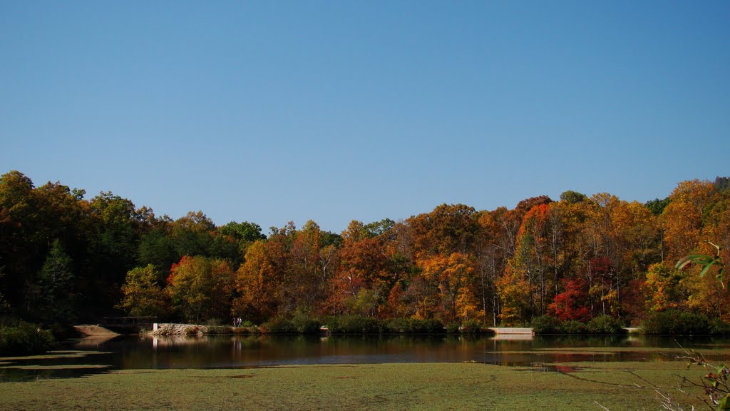 Pandapas pond, fall, 2010 by Rui M.