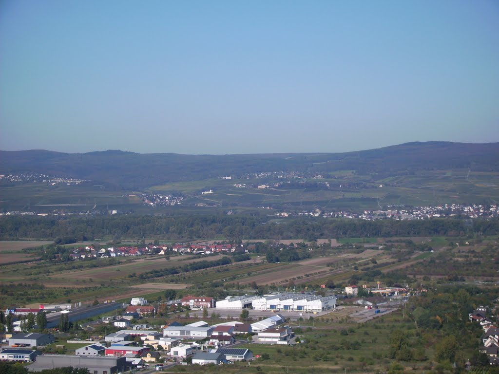 Blick über den Rheingau (Mitte: Schloß Johannisberg) by Klaus Mellin