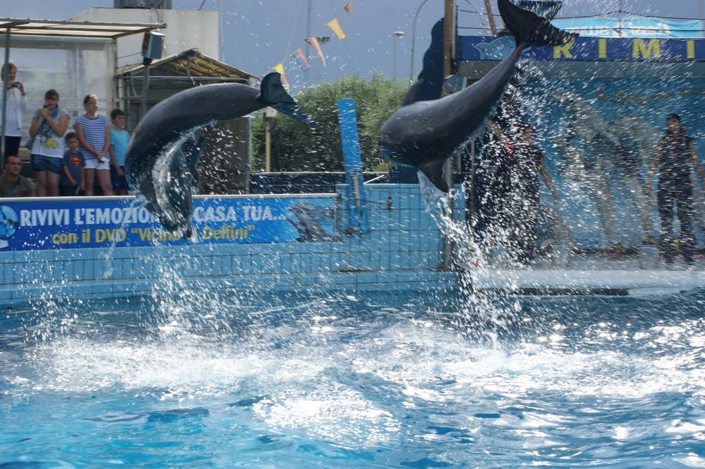 Delfinarium Rimini by Štolfa