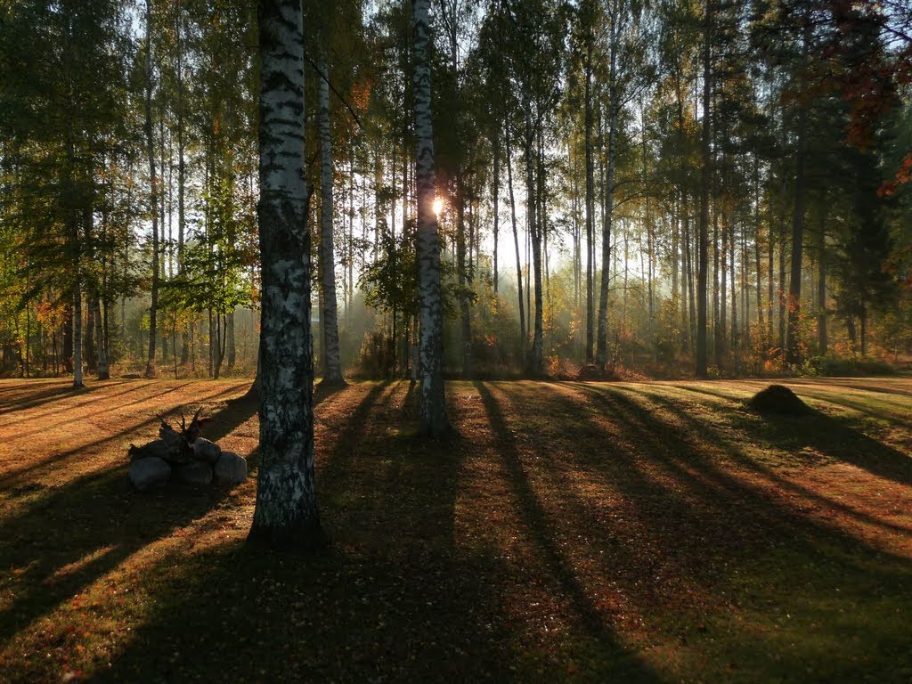 Forest near the Church of the Three Crosses by Miika Kostamo