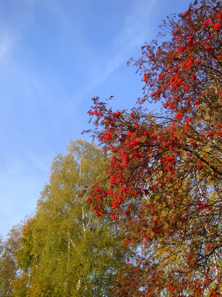 Autum by Ainars Brūvelis